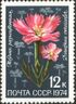 1974 CPA 4411.jpg