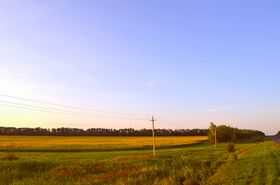 3284. Talovsky District.jpg