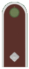 Belarus BKA 1944 parade - mladshiy serzhant.gif