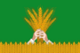 Flag of Kiknursky rayon.png