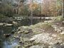 Peacock Springs SP spring II01.jpg