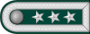 STAPO-Politoverbetjant.svg