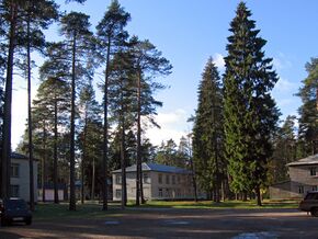 Пансионат "Ленинградец". Поселок Рощино. - panoramio.jpg