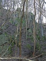 Gröditzer-Skala-Mosesfels-1.jpg