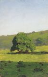 Kuindzhi Oakling Saratov.jpg