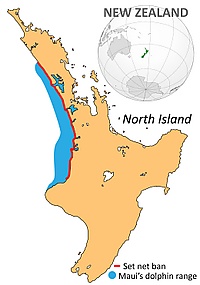 Maui's dolphin range net ban.jpg
