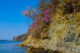 Novgorodskaya bay, Krabbe peninsula 4.jpg