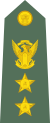 Colonel