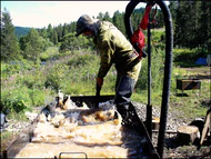 Грубая промывка, будников и бюстгалер.jpg