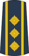 14-Serbian Air Force-COL.svg