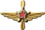 Collar insignia of Aviation Engineering Service.png
