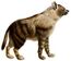 Hyaena fusca (white background).jpg