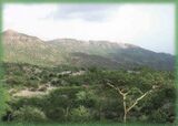 Monts Mabla Djibouti.jpg