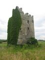 Portrane Castle, Co. Dublin - geograph.org.uk - 1376031.jpg