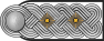 SS-Standartenführer h.svg