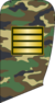 Sarjukhe-c.png