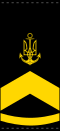 UANs shoulder mark 06.svg