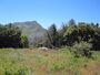 Azalea glen trail cuyamaca.jpg