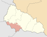 Berehove Raion 2020.svg