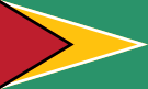 Flag of Guyana.svg