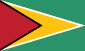 Flag of Guyana.svg