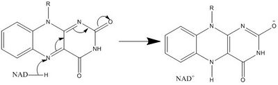 Hydride Transfer B.jpg