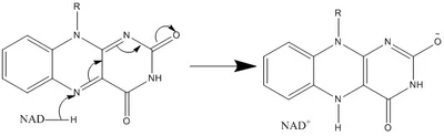 Hydride Transfer B.jpg