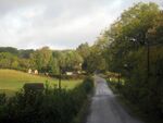 Lane towards Ponts Green - geograph.org.uk - 1528161.jpg