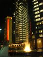 POSfountainhyatt.jpg