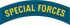 Special Forces Tab Cloth.jpg