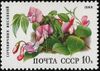 The Soviet Union 1988 CPA 5966 stamp (Deciduous forest flowers. Spring pea).jpg