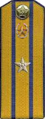 погоны 1956