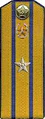 погоны 1956