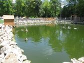 Ставок у Бахчисарайському зоопарку.JPG