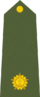 2nd Lieutenant Indian Army.gif