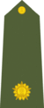 2nd Lieutenant Indian Army.gif