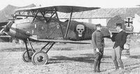 Albatros D.III(Oef.) Brumowski.jpg