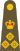 British Army OF-6.svg