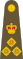 British Army OF-6.svg