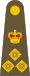 British Army OF-6.svg