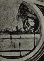 Giotto - Baccheschi, 125-1.jpg