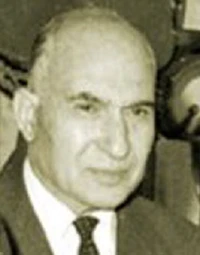 Mahmoud Fawzy.jpg