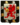 RomanovsCoatRF.png