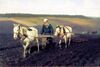 Tolstoy ploughing.jpg