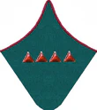 петлица 1937