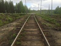 Пл. 148 км (Брусничная-Лендеры).jpg