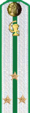 погон 1956