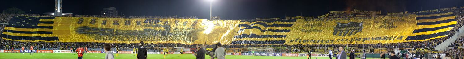 Самый большой флаг в мире, развёрнутый болельщиками на трибунах Сентенарио. Площадь 15 тыс. м², длина 309 м, ширина&nbsp;— 50 м.