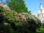 Botanical Garden of Moscow State University 01.JPG
