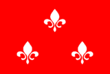 Флаг[d]